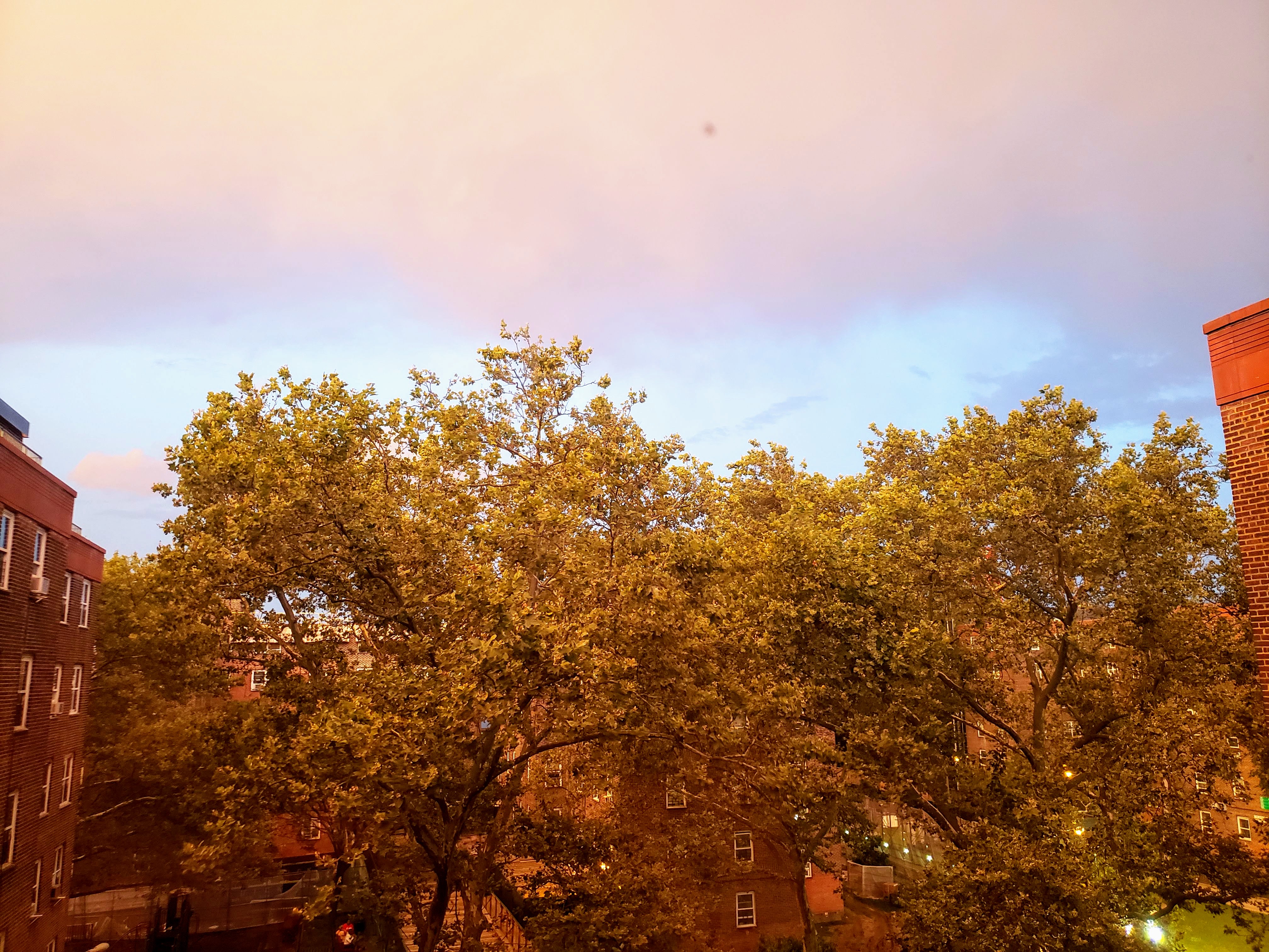 Brooklyn